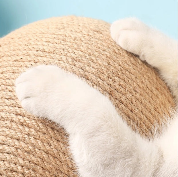 Multi-Level Cat Climbing Frame & Scratching Post