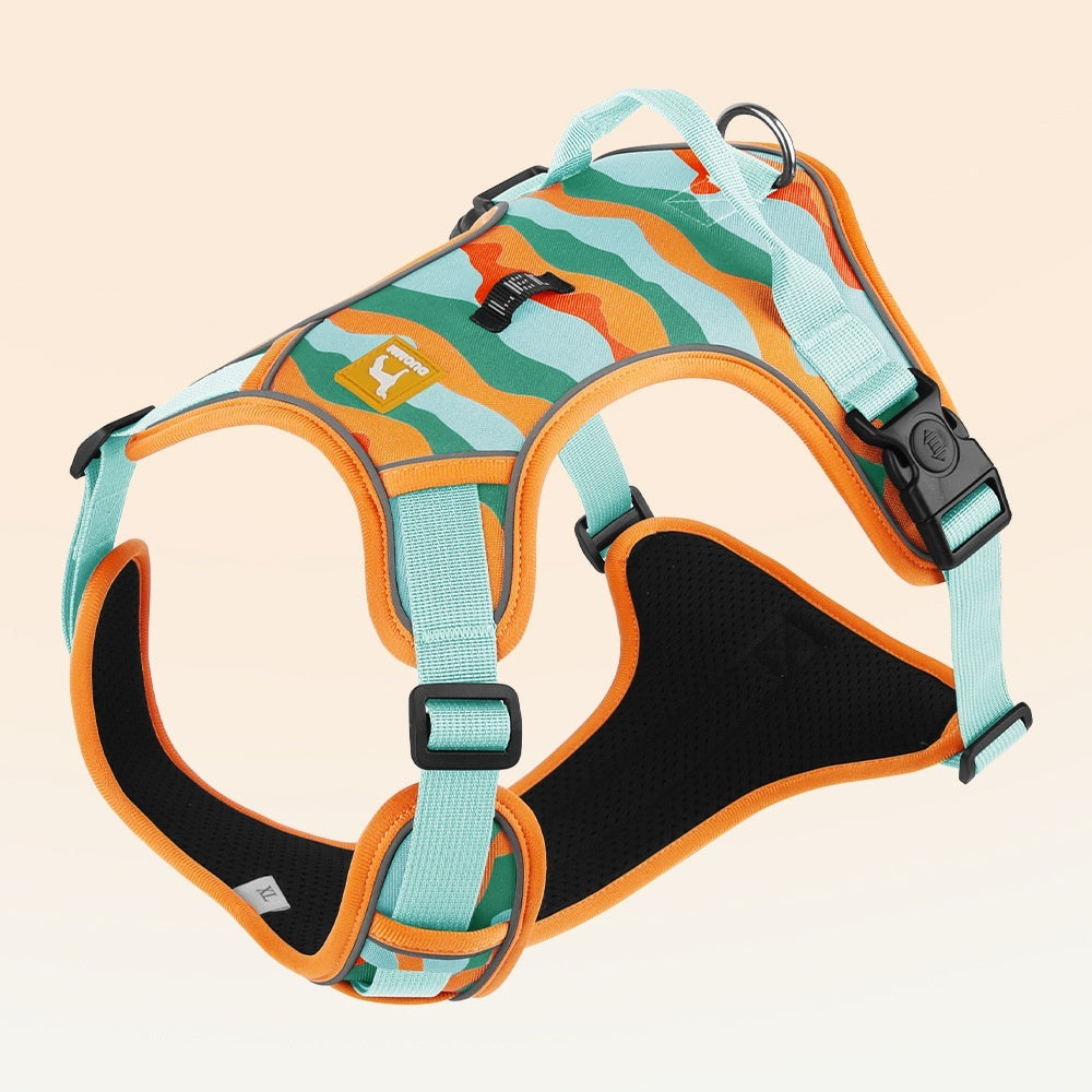 Reflective Dog Harness & Lead