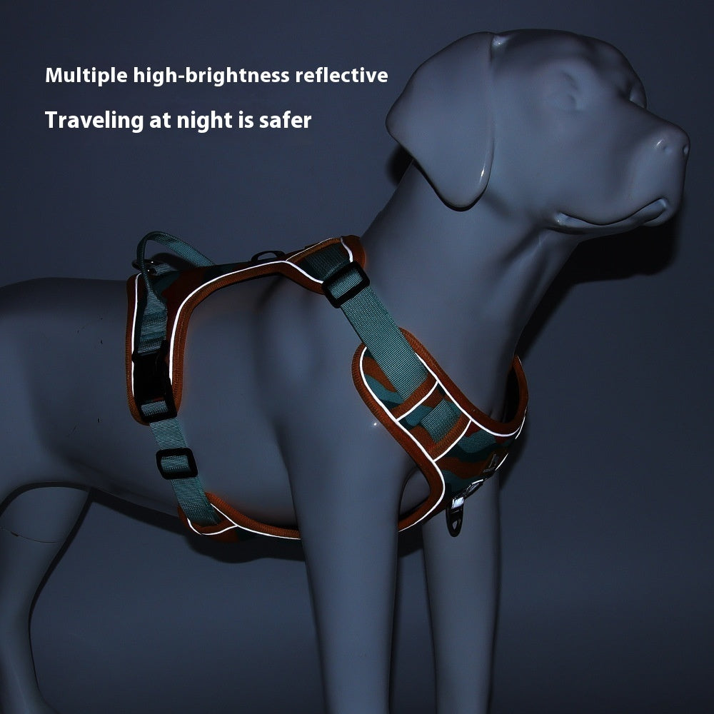 Reflective Dog Harness & Lead